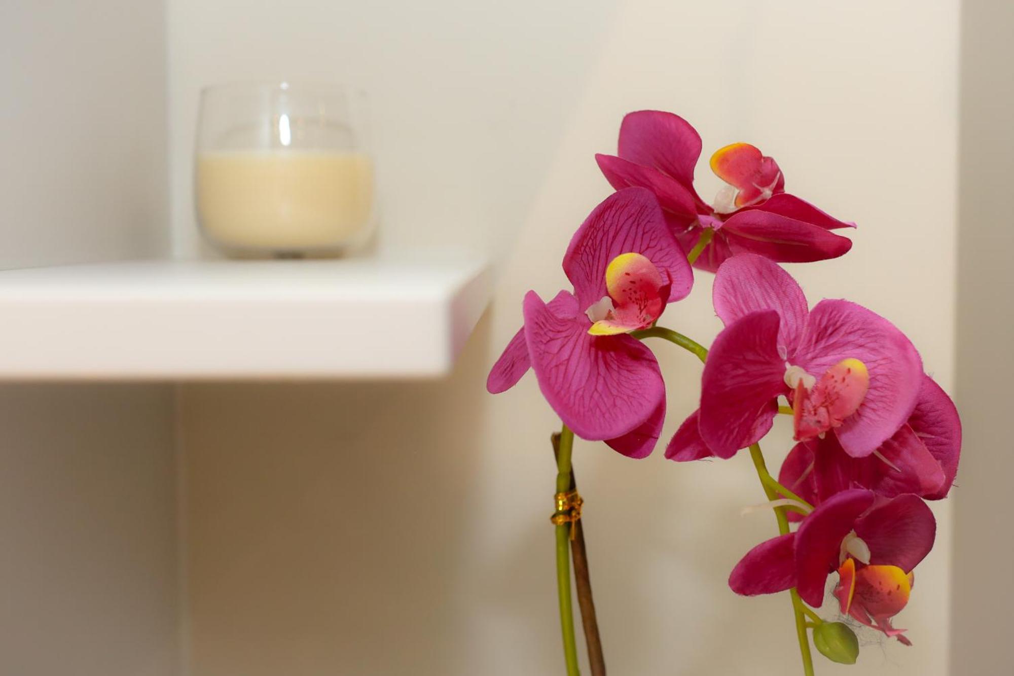 Apartments Milanovic Herceg Novi Ngoại thất bức ảnh